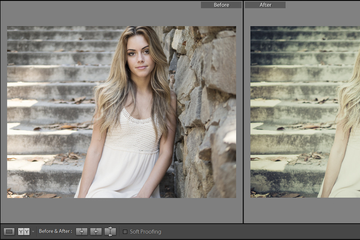 Cinematic Lightroom Preset By Cmsvec, a Plug-in Add-On by CMSvec (Photo 4 of 10)