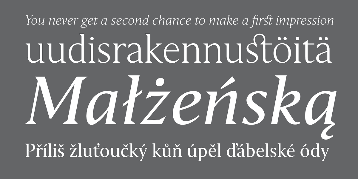 Haggard Nova, a Serif Font by TipografiaRamis (Photo 7 of 9)