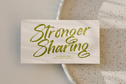Brighten Shootters Modern Script, a Script Font by Letterena Studios Script (Thumbnail 10 of 20)