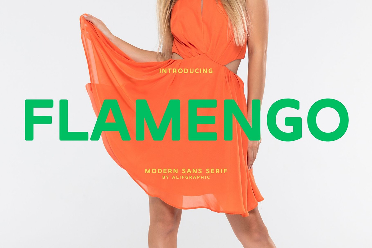 Flamengo - Modern Sans Serif, a Sans Serif Font by Font Kingdom (Photo 1 of 5)