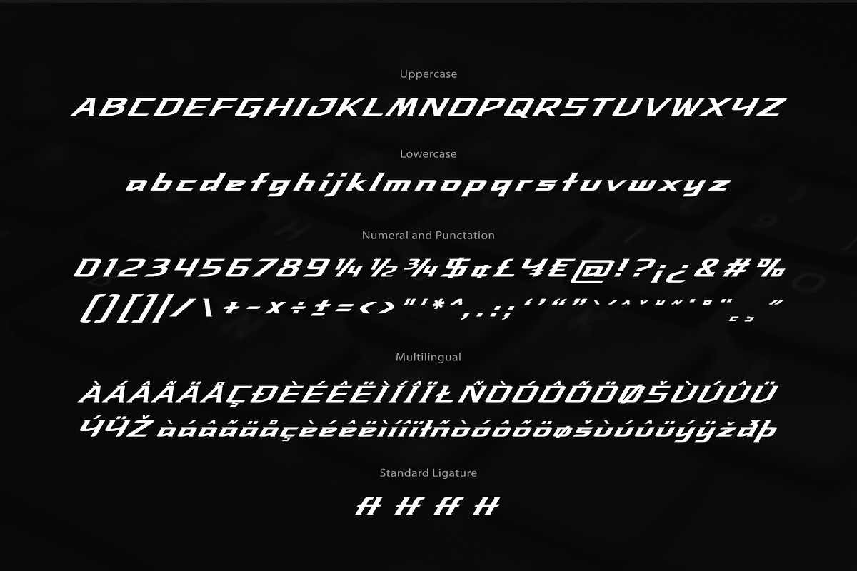 Racer Futuristic Font, a Font by sunnytudu (Photo 5 of 5)