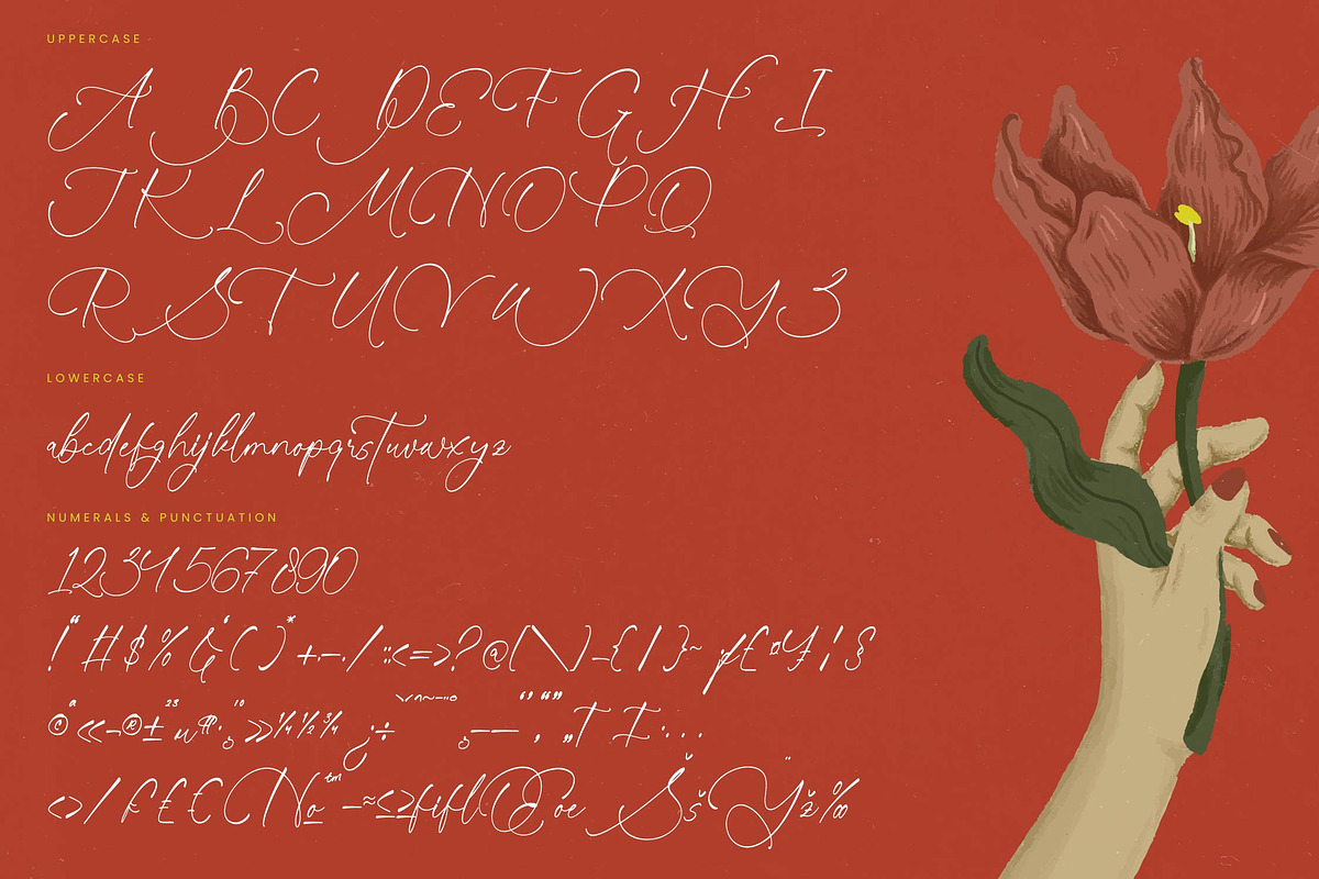 Sunlite Kinetic Stylish Calligraphy, a Script Font by stylishtype.co (Photo 18 of 20)