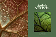 75 Leaf Veins Stock Photos, a Nature Photo by Incomelion (Thumbnail 13 of 14)
