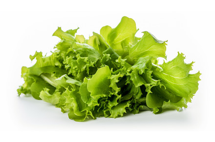 Lettuce leaves isolate on white, a Food & Drink Photo by yanadjana