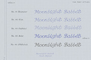 Whimsy Ink Drop Texture Script, a Handwritten Font by Laras Wonderland (Thumbnail 4 of 10)