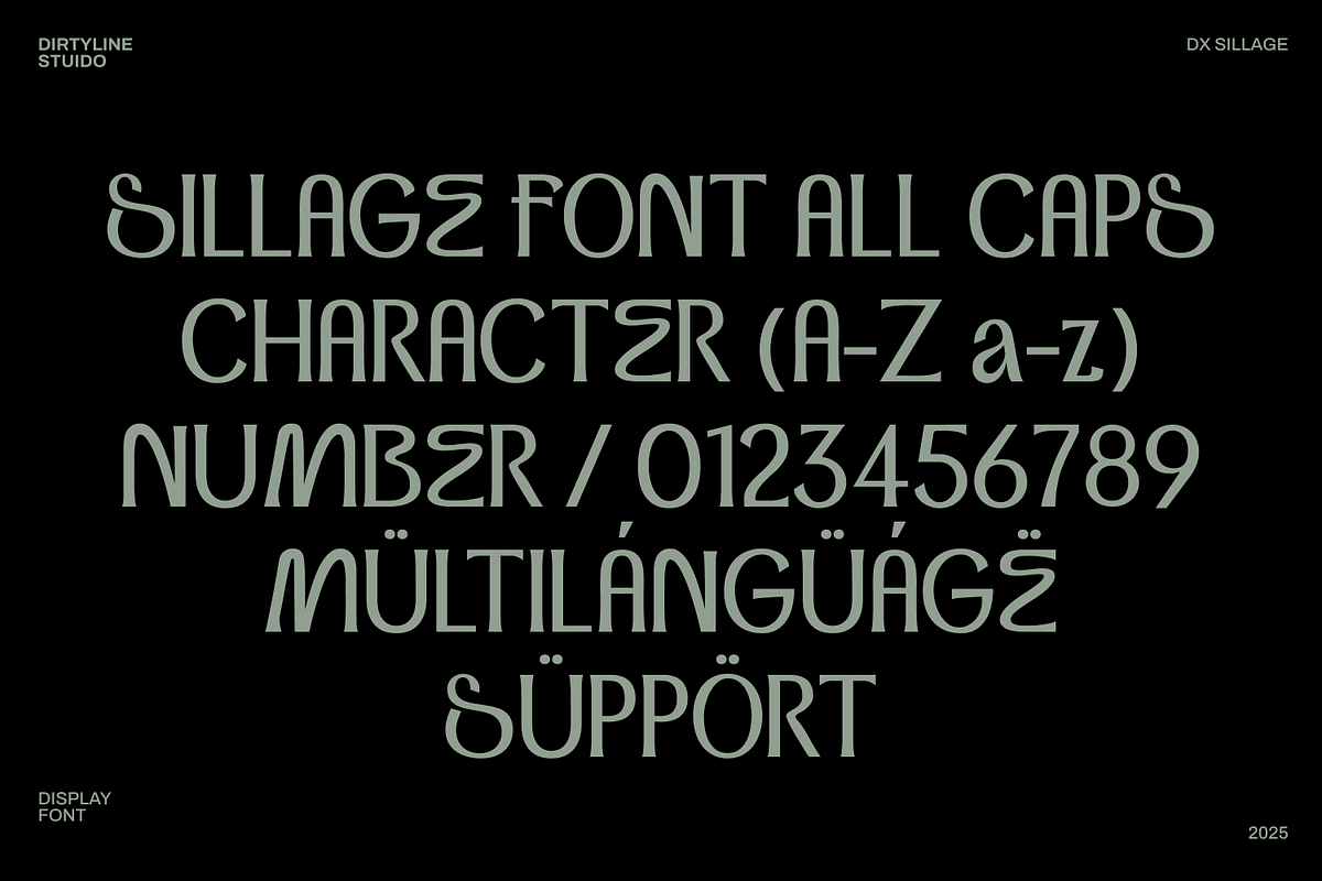 Dx Sillage Elegant Serif Font, a Serif Font by Dirtyline Studio (Photo 2 of 17)