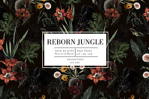 Reborn Jungle, a Work Illustration by Luiz da Rolt Grathwohl