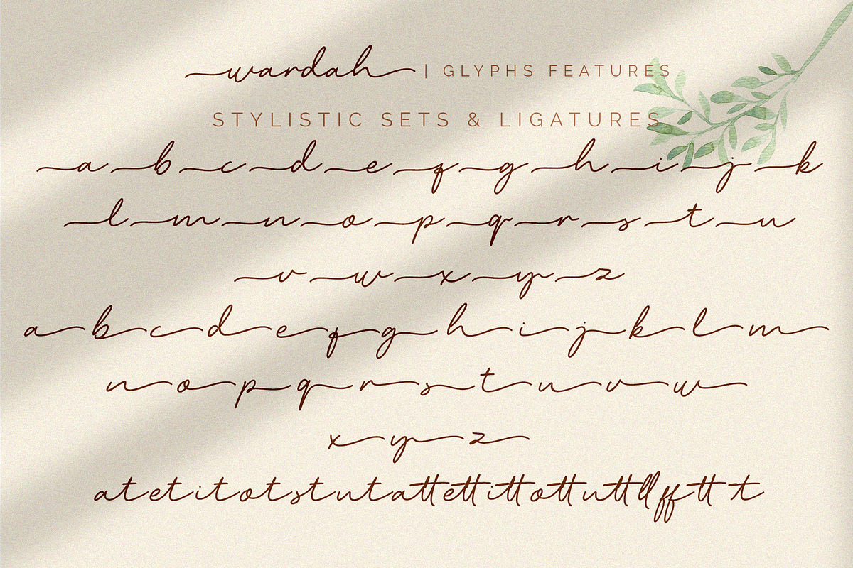 Wardah, a Script Font by Omotu Studio (Photo 11 of 12)