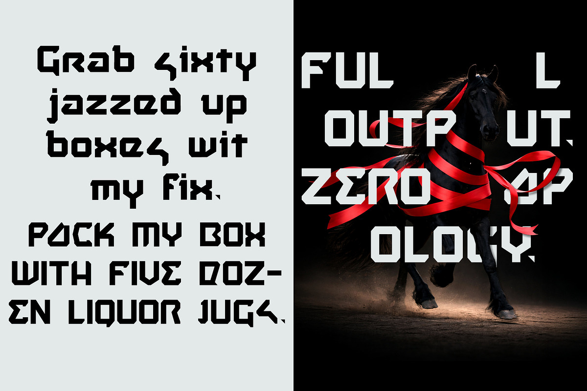Maxed, a Sans Serif Font by Fontanatype (Photo 3 of 5)