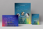 Summer Concert Flyer Template, a Flyer Template by StockLayouts (Thumbnail 1 of 3)