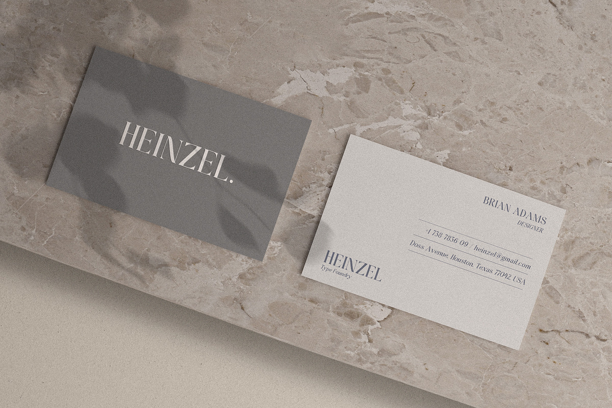Mondeba Modern Serif Font, a Serif Font by Heinzel Std (Photo 4 of 13)
