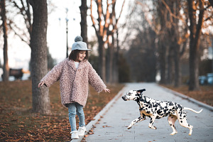 28 Dalmatian Photo Overlays