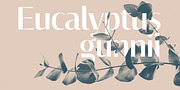 Cosan, a Sans Serif Font by Adtypo (Thumbnail 2 of 7)