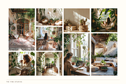 House Plants Stock Photos, a Nature Photo by The Vibe Studios (Thumbnail 2 of 9)