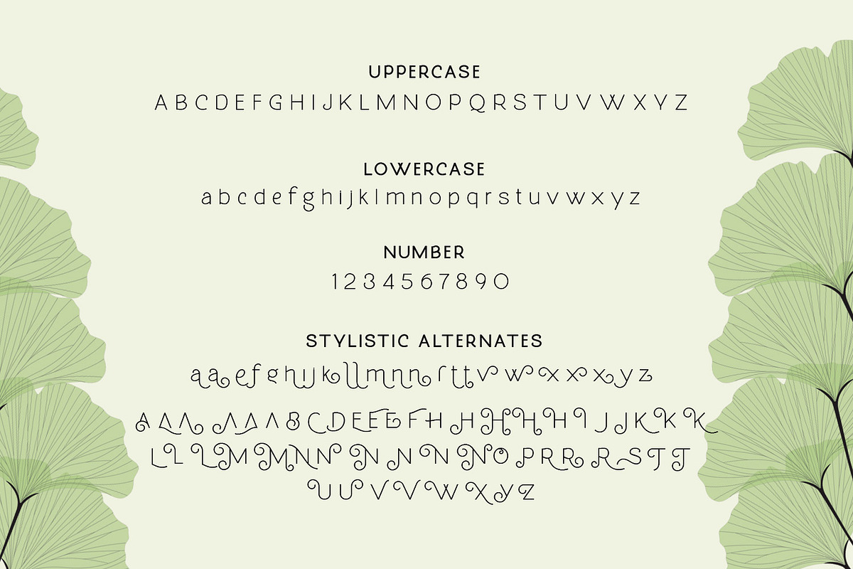 Molga font preview 7