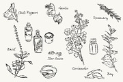 Herbs & Spices Vector Bundle, a Food Illustration by Little Gremlin (Thumbnail 3 of 10)