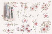 Cherry blossom cliparts and patterns, an Illustration by TatiArti (Thumbnail 8 of 12)