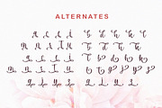 Maria Heart - Romantic Script, a Script Font by Bale Type (Thumbnail 7 of 9)