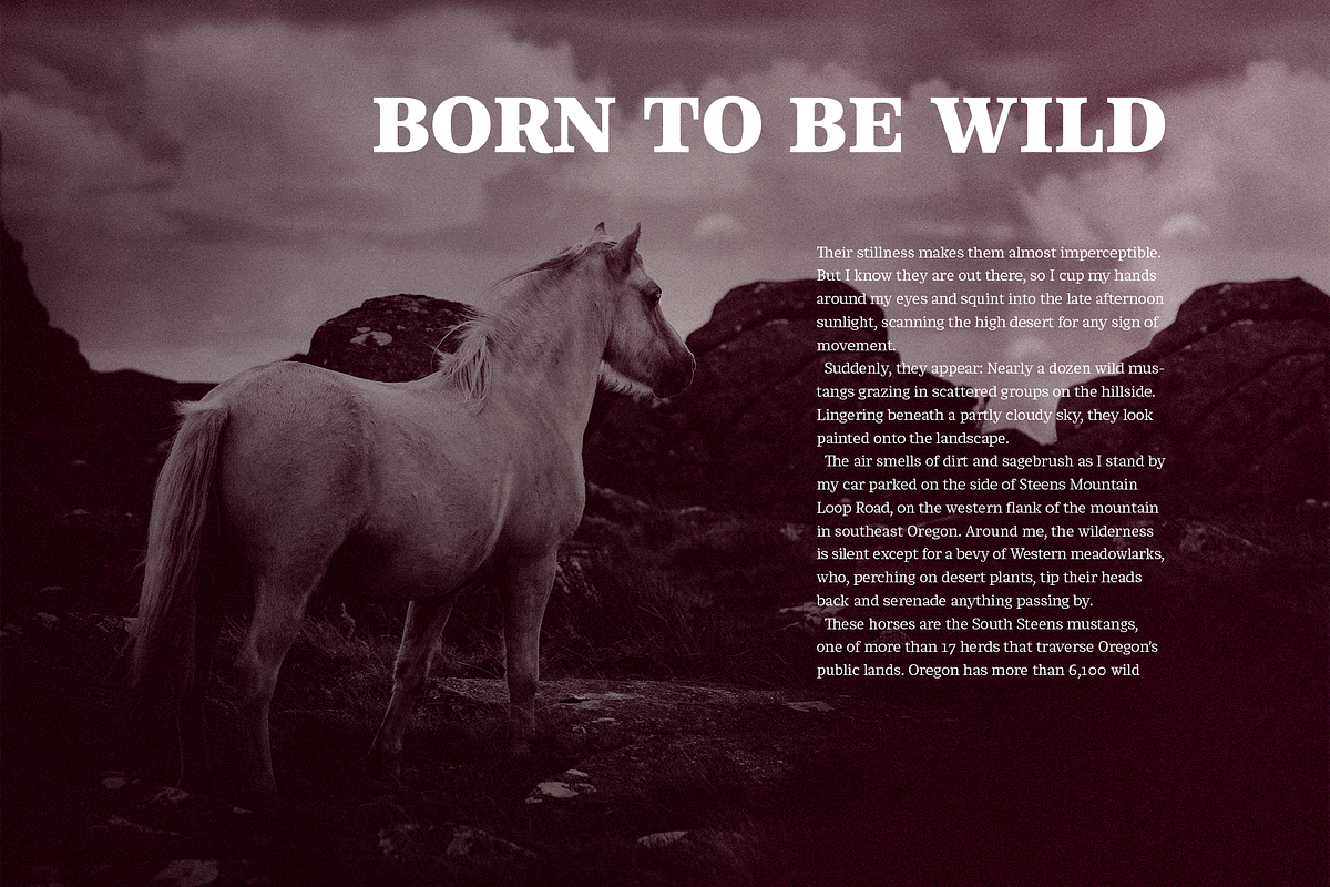 Chucara next, a Serif Font by Letritas (Photo 14 of 14)