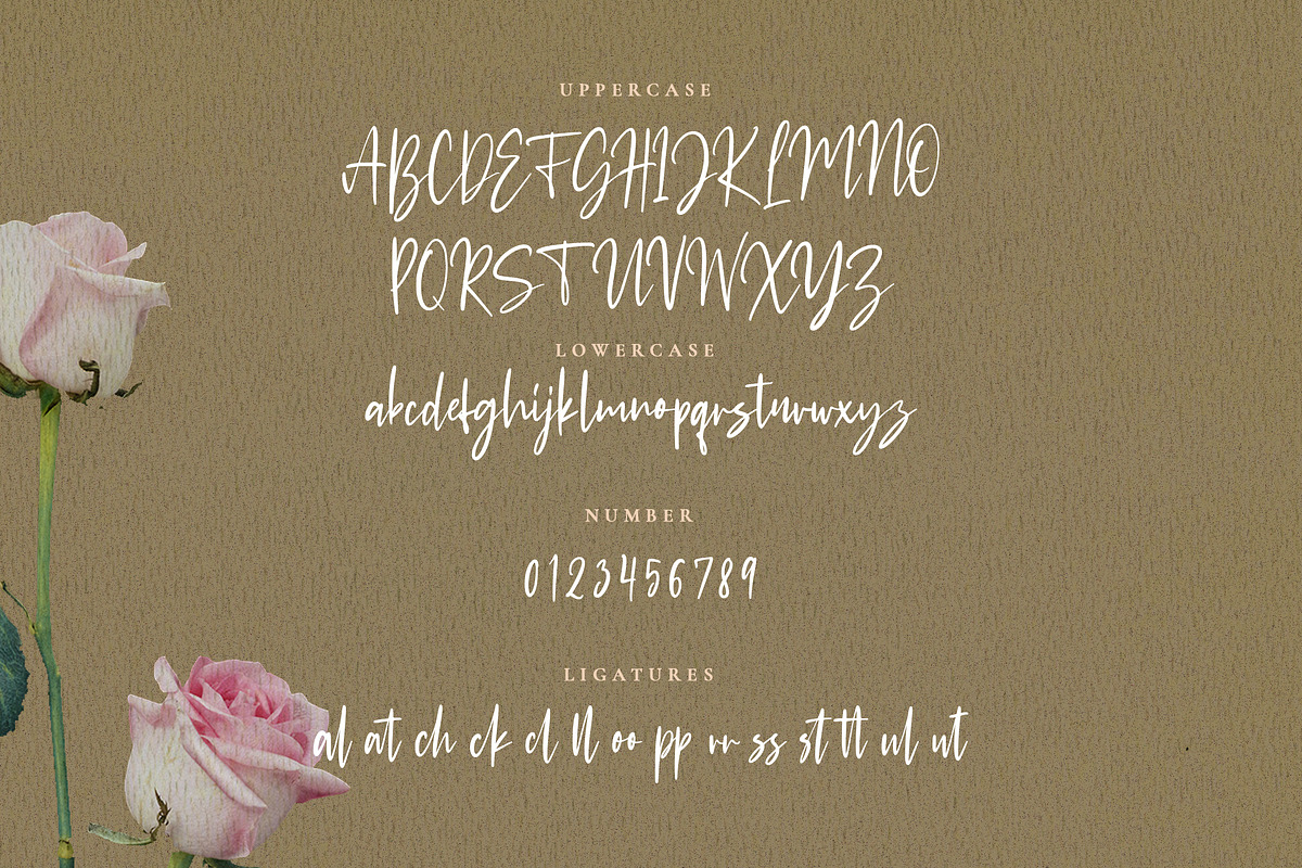 Puertofino - Modern Handwritten, a Script Font by Typehand Studio (Photo 3 of 8)