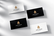 Spartan helmet logo, a Branding & Logo Template by Leschinger.cz (Thumbnail 3 of 3)
