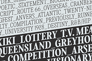 Levino Font Family, a Font by Punch (Thumbnail 9 of 10)