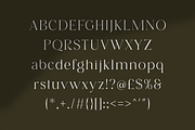 Versine Swoosh, a Serif Font by RockboyStd (Thumbnail 8 of 12)