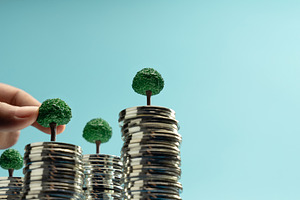 Hand putting Mini trees to growing on coin stacks symbolizing su, a Photo by salmon.black