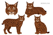 European wild cats clipart, an Animal Illustration by pet design shop (Thumbnail 5 of 10)