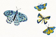 Butterfly Clipart Set, an Animal Illustration by Anna Ivanir (Thumbnail 4 of 5)