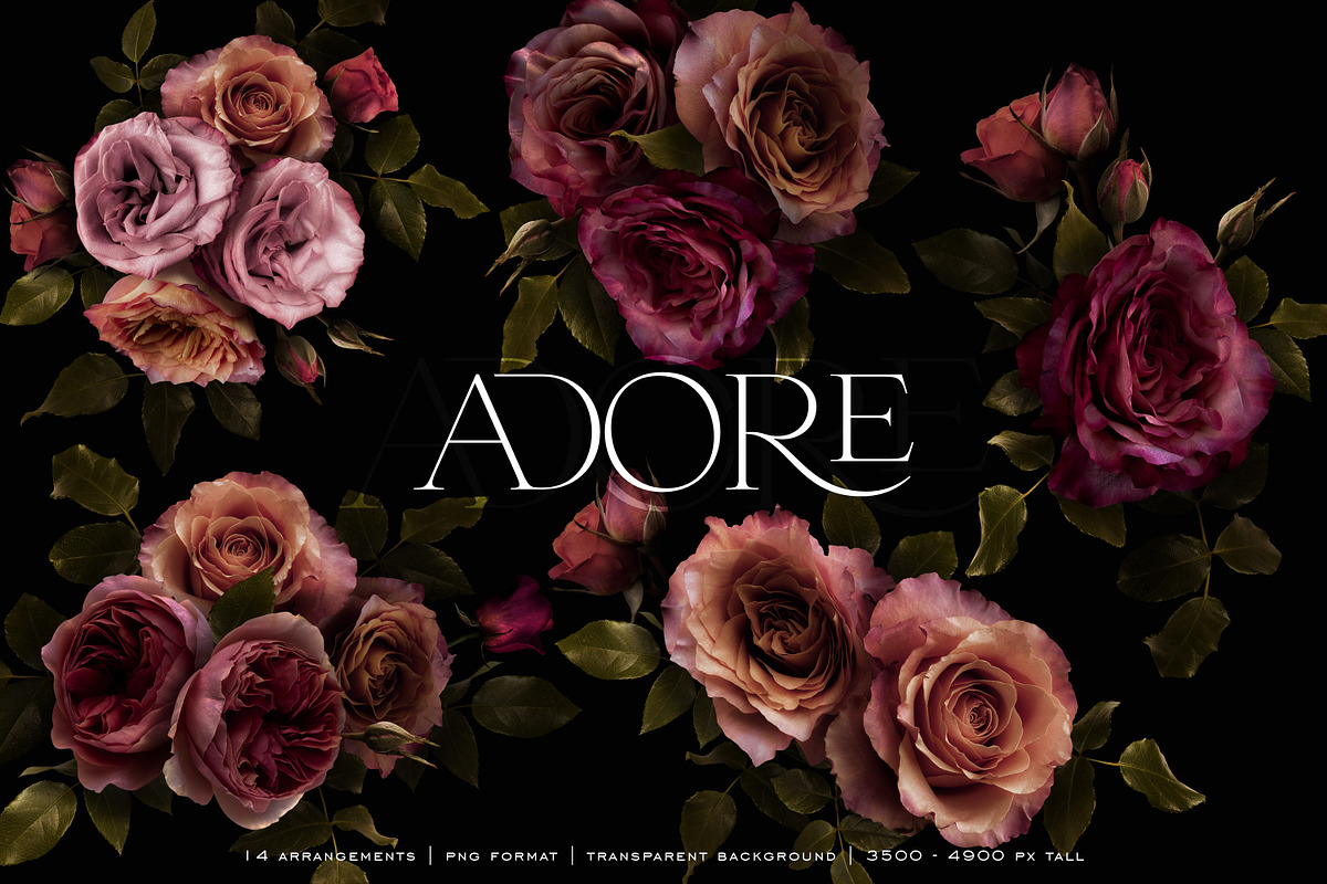 Adore Realistic Romantic Roses, an Object Graphic by Eclectic Anthology (Photo 7 of 11)