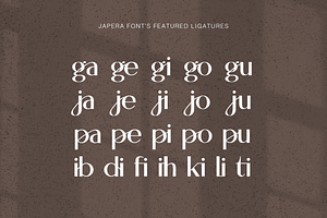 Japera - Modern Scripty Sans Display