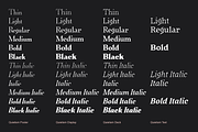 Quietism Variable font, a Serif Font by Michael Rafailyk (Thumbnail 5 of 9)