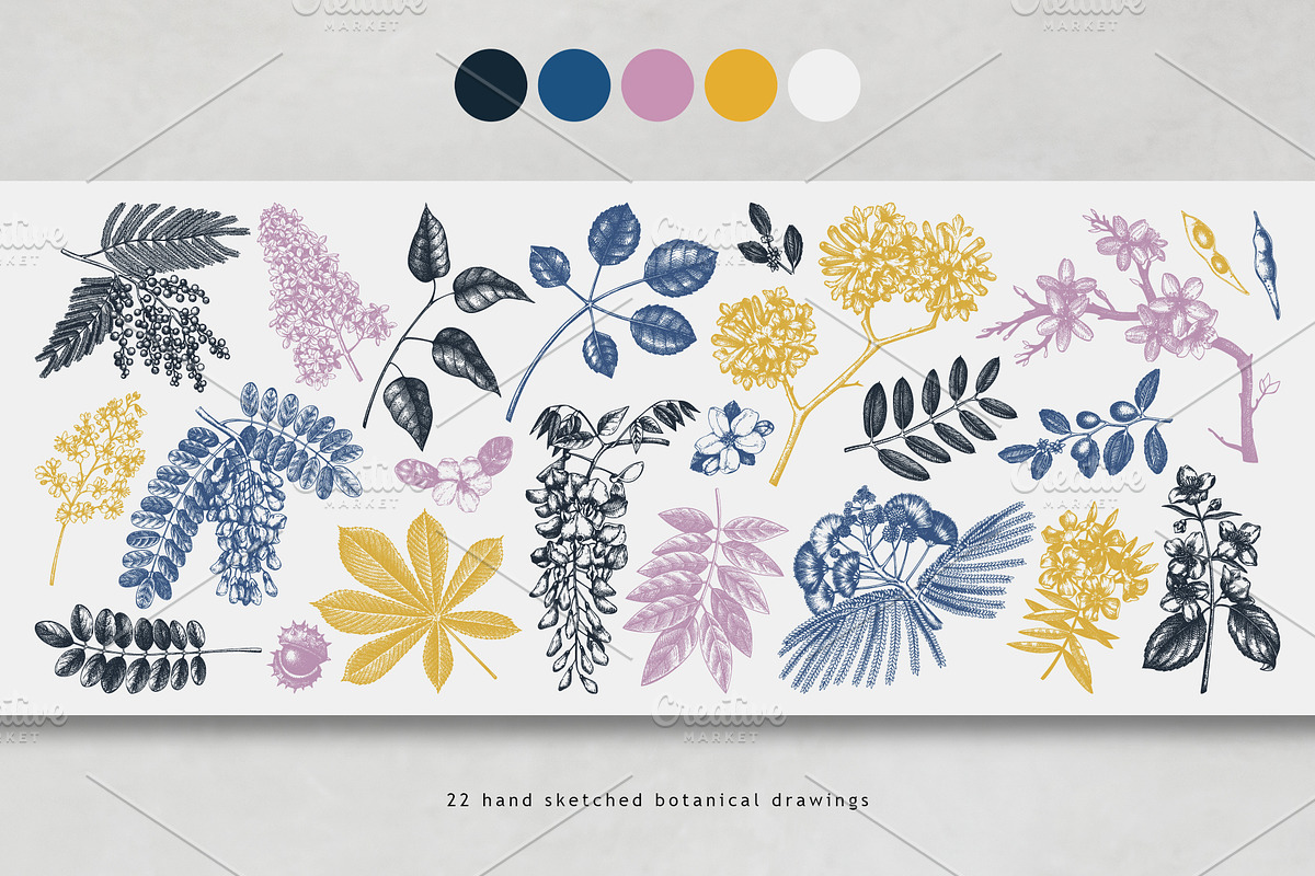 Spring Trees Vectors & Designs, a Seasonal Illustration by Yevheniia (Photo 10 of 13)