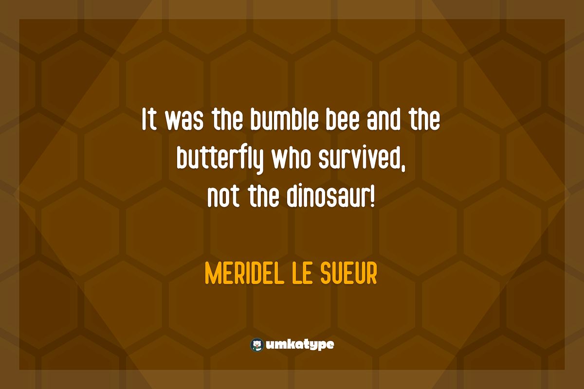 Bumblebee Font, a Sans Serif Font by alpercakici (Photo 7 of 9)