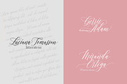 Barracuda Script, a Script Font by joelmaker (Thumbnail 9 of 12)