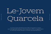 Theoris Slab Serif Font, a Slab Serif Font by Genetype (Thumbnail 3 of 8)