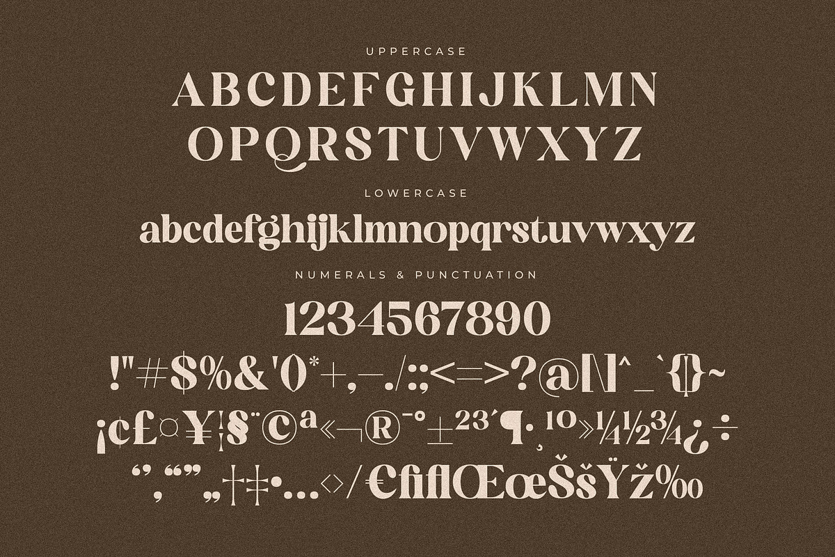 Mogilte Modern Ligature Serif, a Script Font by Storytype Studio (Photo 13 of 15)