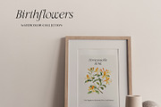 Watercolor Birthmonth florals Set, a Decorative Illustration by Grace Noboa Illustrations (Thumbnail 6 of 10)