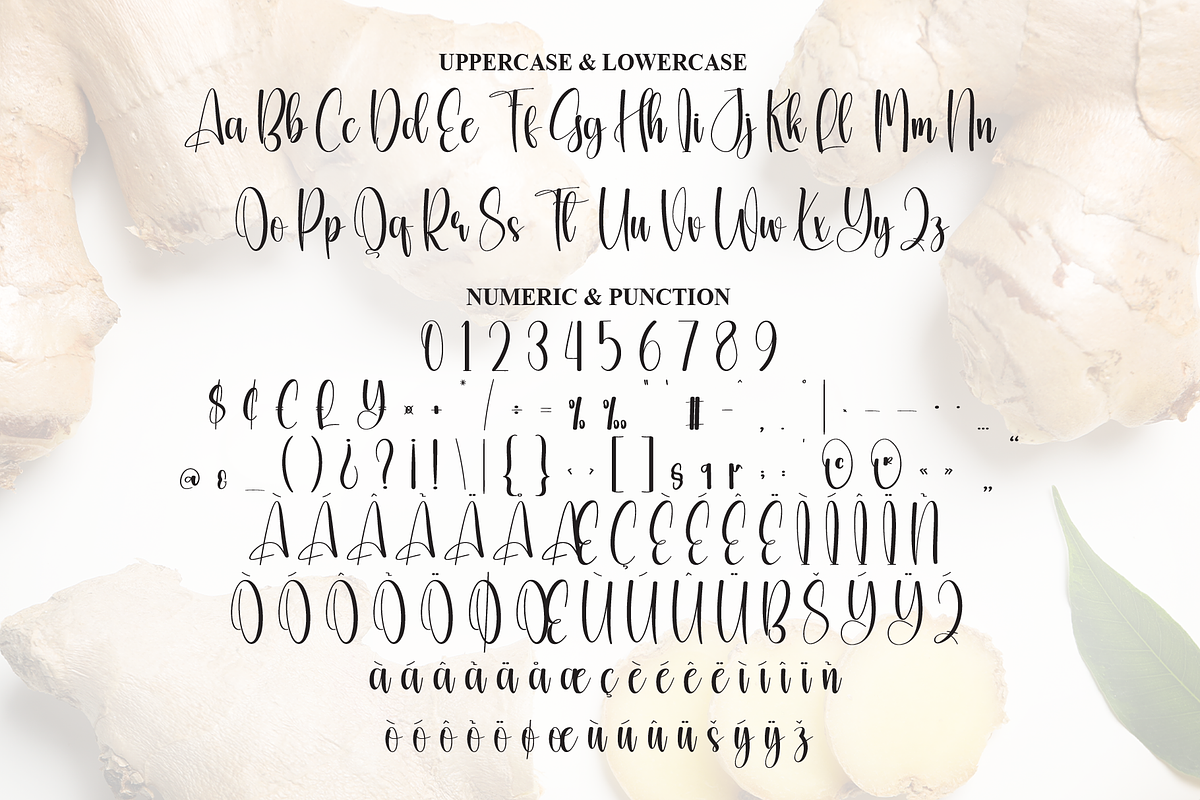 Ginger Farmhouse | Script Font, a Handwritten Font by Scratchones (Photo 7 of 9)