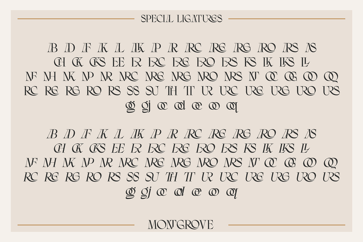 Montgrove - Ligature Serif Font, a Sans Serif Font by Surplus Type Co (Photo 3 of 11)