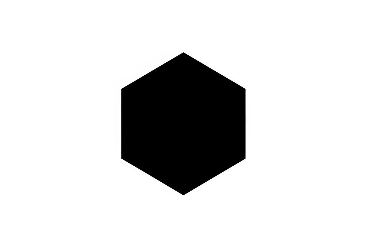 Minimal Hexagon Geometric Logo, an Icon by hafijul (Photo 3 of 10)