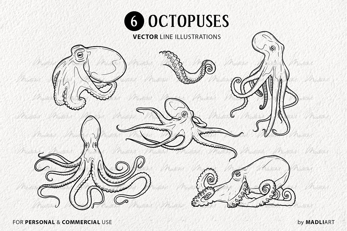 Octopus Vector Line Art Set, an Illustration by MadliArt (Photo 3 of 4)