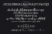 Millea Dilane Script Font, a Script Font by NTC Graphic (Thumbnail 6 of 7)