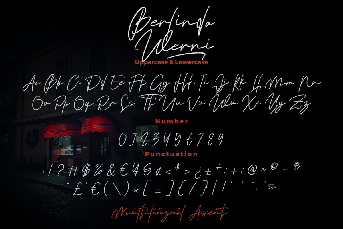 Berlinda Werni - Monoline Font, a Script Font by Bayuktx (Photo 10 of 10)