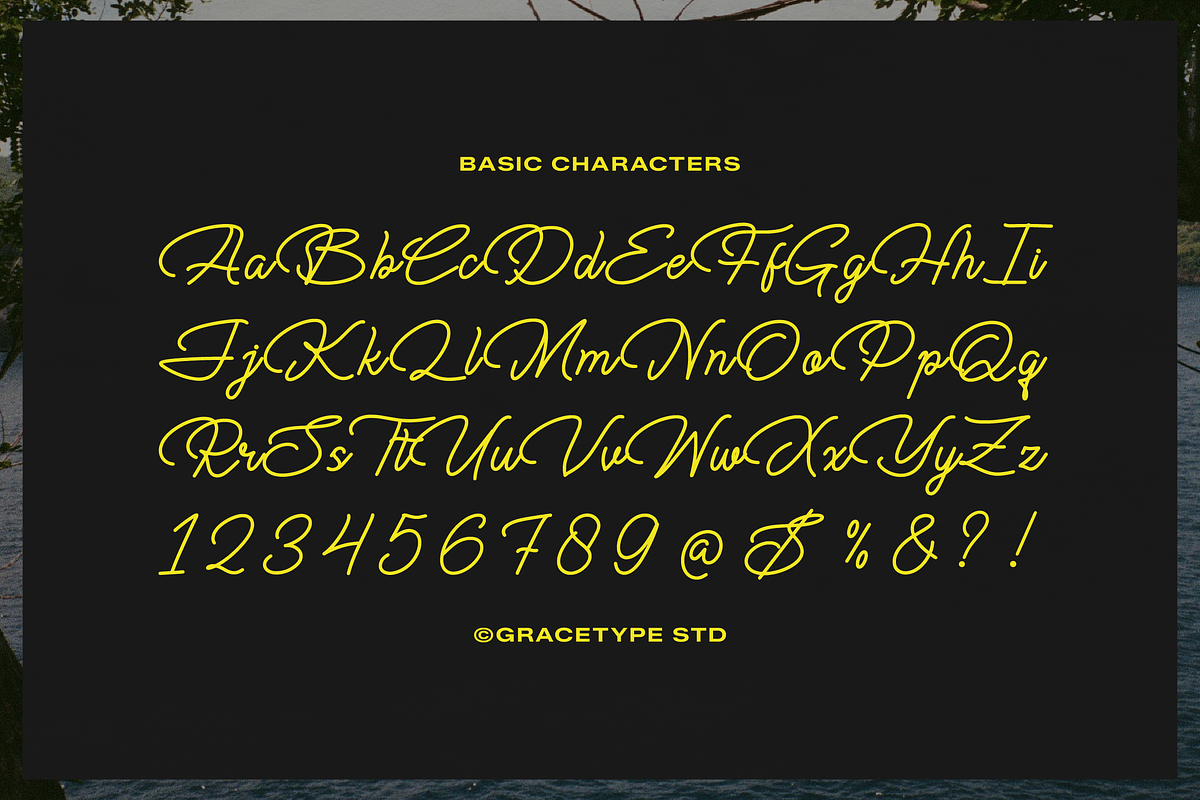 Cauloid | Monoline Script, a Script Font by gracetype_studio (Photo 10 of 12)