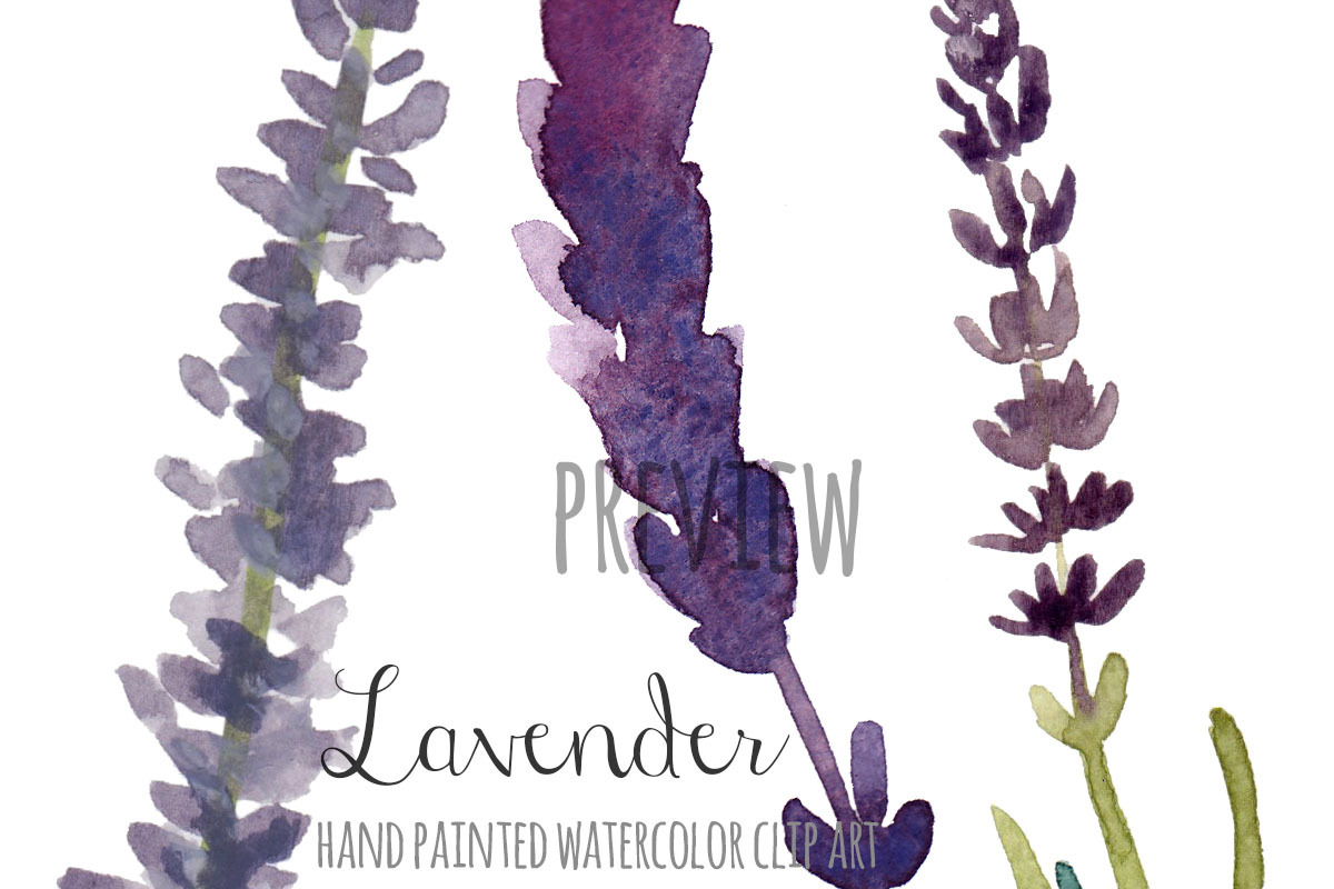 Lavender watercolor clip art, an Illustration by SandraGraphicDesign (Photo 3 of 3)