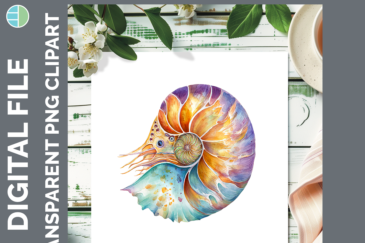 Marine Invertebrate Clipart, 25 PNG, an Animal Illustration by Enliven Designs (Photo 4 of 8)