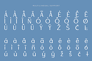Andore - Elegant Modern Serif Font, a Serif Font by Pekotype (Thumbnail 5 of 15)
