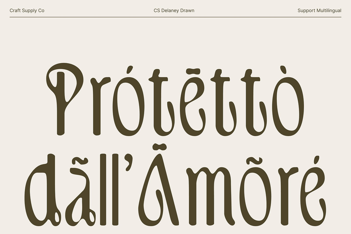 CS Delaney Drawn, a Serif Font by Craft Supply Co. (Photo 5 of 8)